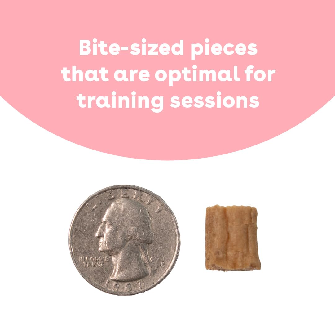 Cloud Star Buddy Biscuits Softies 5 oz Pouch, Grain-Free Soft & Chewy, Natural Grilled Beef Flavor Dog Treats, Oven Baked in The USA (Pack of 2)