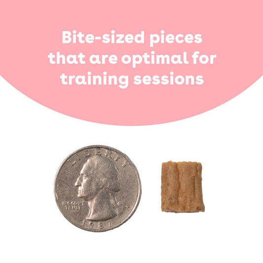 Cloud Star Buddy Biscuits Softies 5 oz Pouch, Grain-Free Soft & Chewy, Natural Grilled Beef Flavor Dog Treats, Oven Baked in The USA (Pack of 2)