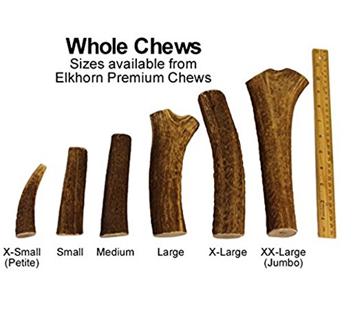 KodaBear Co Premium Whole Elk Antler Dog Chew, 100% Naturally Shed, USA, Large (6.5”- 10”)