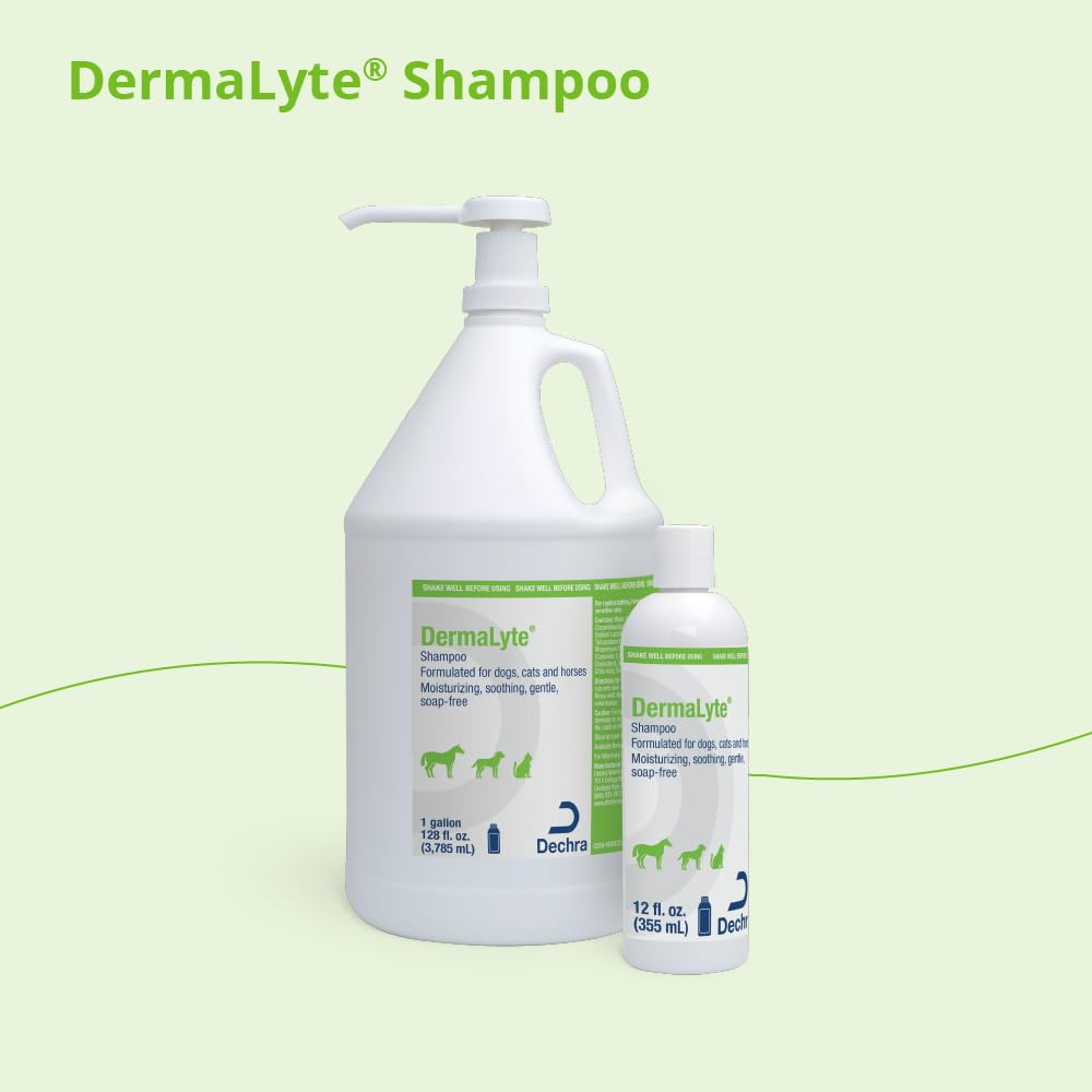 Dermalyte Shampoo, 12 Ounce