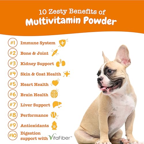 Zesty Paws 10-in-1 Dog Multivitamin Powder - Gut, Immune, Joint, Skin & Coat Support, and More - Dog Vitamins and Supplements Powder - Pet Supplements with Omega Fish Oil & VitaFiber - Salmon - 30 Ct