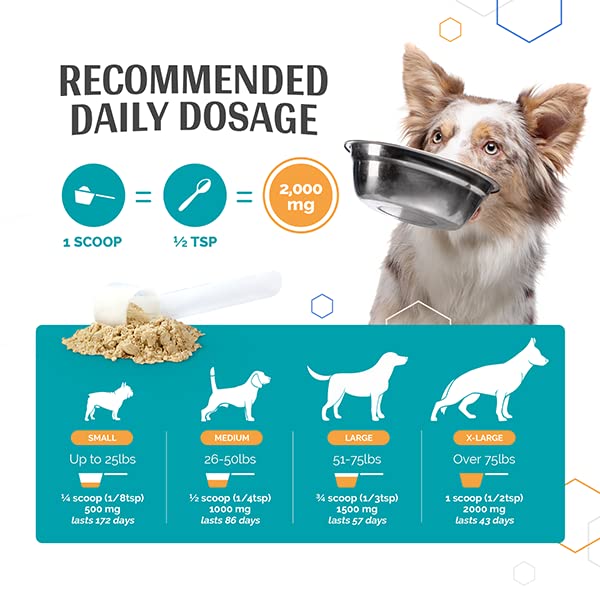 Flexerna Essentials Powder - Joint Supplement for Dogs - New Zealand Green Lipped Mussels for Dogs with MSM - Omega 3 Supplement with Glucosamine Chondroitin - A Whole Food Dog Joint Supplement Powder