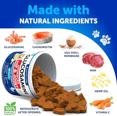 Glucosamine for Dogs - Hip and Joint Supplement for Dogs with Arthritis - Chews with Chondroitin, Hemp Oil, MSM - Canine Joint Pain Relief Health - Mobility Support for Large Breeds - 180 Soft Treats