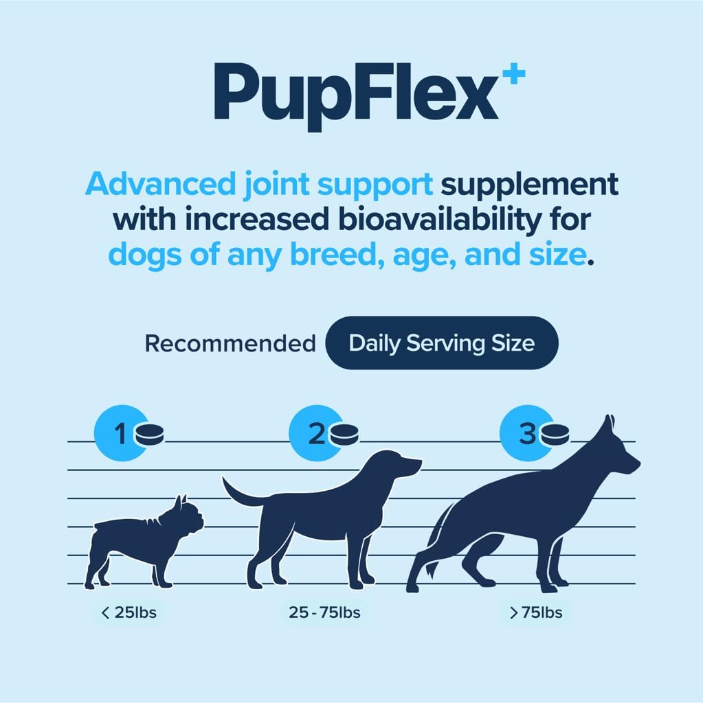 PupFlex+ Hip and Joint Supplement Dogs, Vet Created Soft Chews with UC-II® Collagen for Dogs, CurcuVET® & Omega 3, Proven More Effective Than Glucosamine Chondroitin, Dog Joint Supplement (60 ct)
