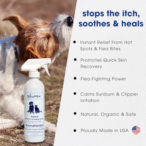 Dog Itch Relief Spray by Shiny Paw 16 oz | Aloe Vera & Eucalyptus Skin Itch Remedy | Dog Hot Spot Spray | Natural Anti Itch Spray for Pets | Dog Itchy Skin Relief | Made in USA