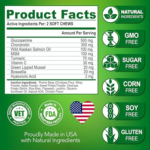 Advanced Glucosamine for Dogs - 170 Chews - Senior Hip and Joint Supplement for Dogs - Glucosamine Chondroitin - Dog Joint Health Pain Relief Pills - MSM - Mobility Support Supplement - Made in USA