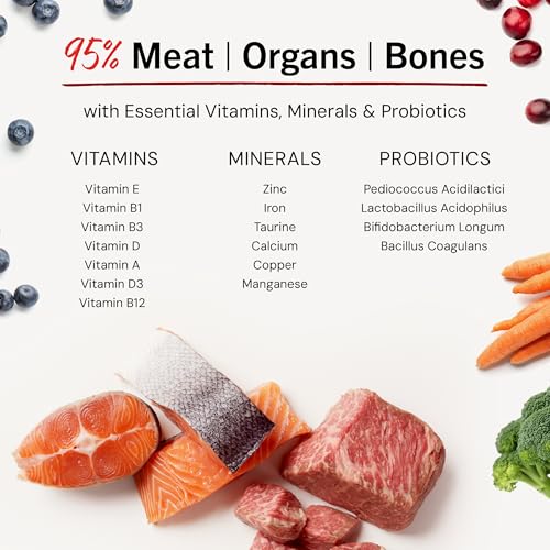 Stella & Chewy's Freeze Dried Raw Dinner Patties – Crafted for Puppies – Grain Free, Protein Rich Perfectly Puppy Beef & Salmon Recipe – 5.5 oz Bag, Pack of 1