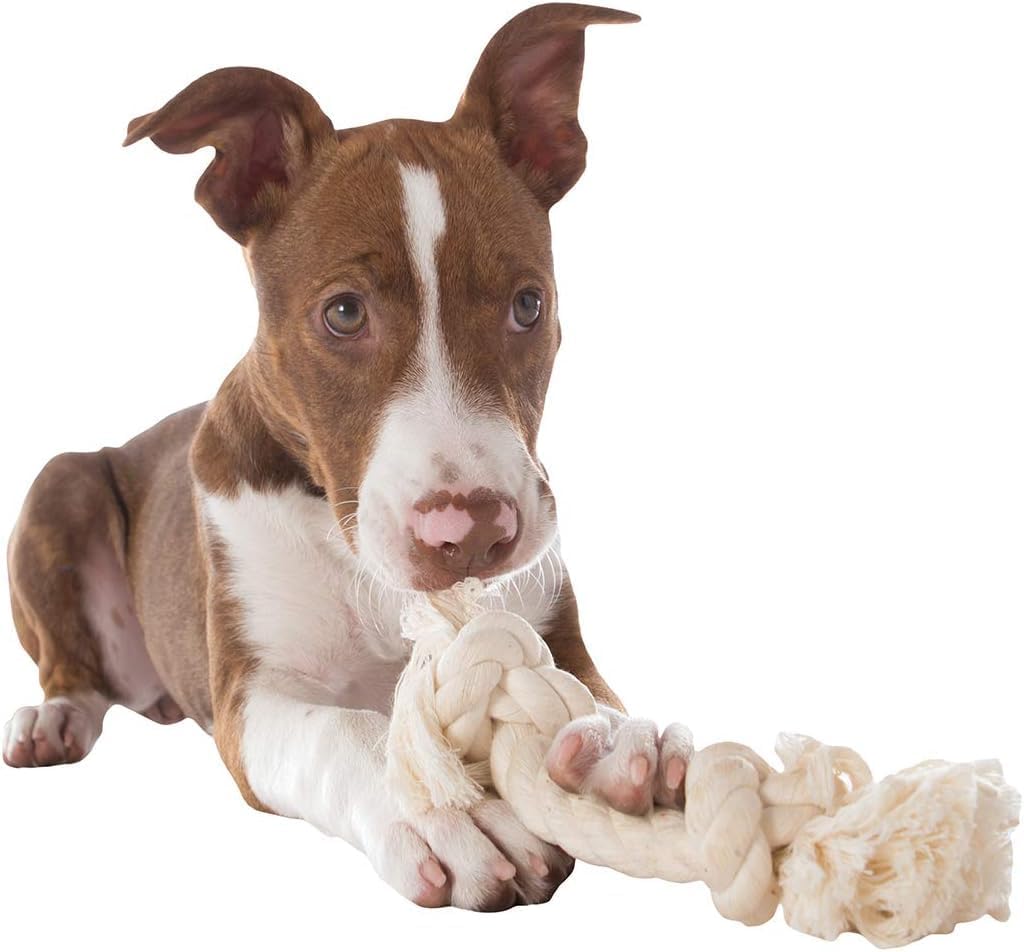 Mammoth Flossy Chews 100 Percent Natural Cotton Rope Dog Toy - Premium White Knot Tug Toy for Dogs - Interactive Rope Dog Toy 12" - 2 Pack