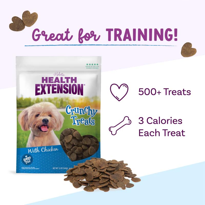 Health Extension Heart-Shaped Crunchy Biscuits, 12oz (340g) – Chicken Flavor, GMO-Free Dog Training Treats for Small Breeds, Added Vitamins & Minerals (Pack of 2)