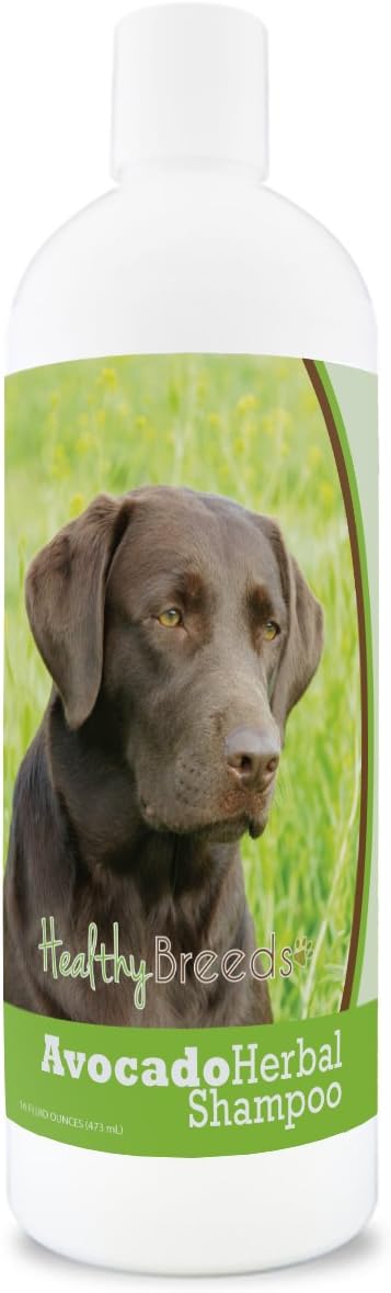 Healthy Breeds Labrador Retriever Avocado Herbal Dog Shampoo 16 oz