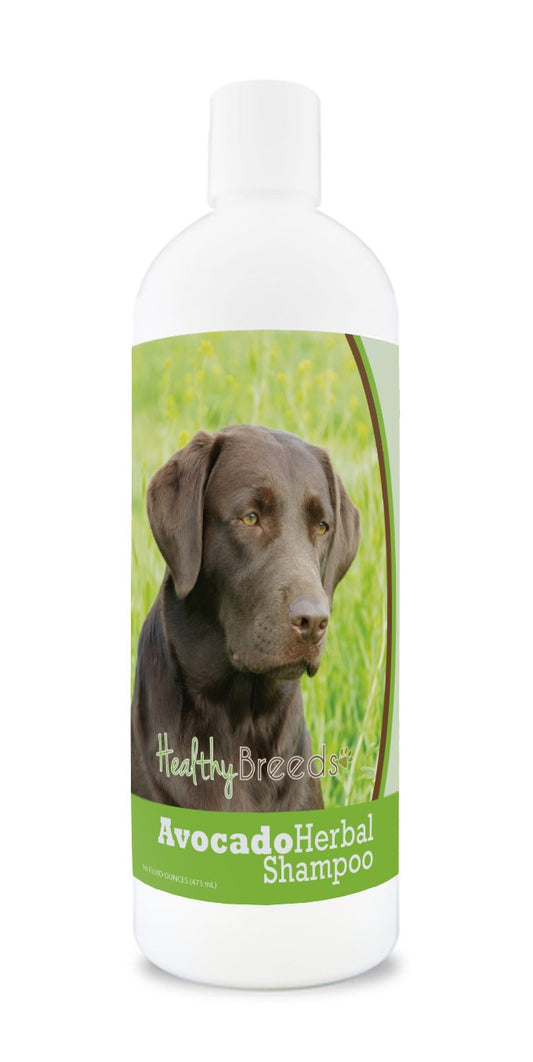 Healthy Breeds Labrador Retriever Avocado Herbal Dog Shampoo 16 oz