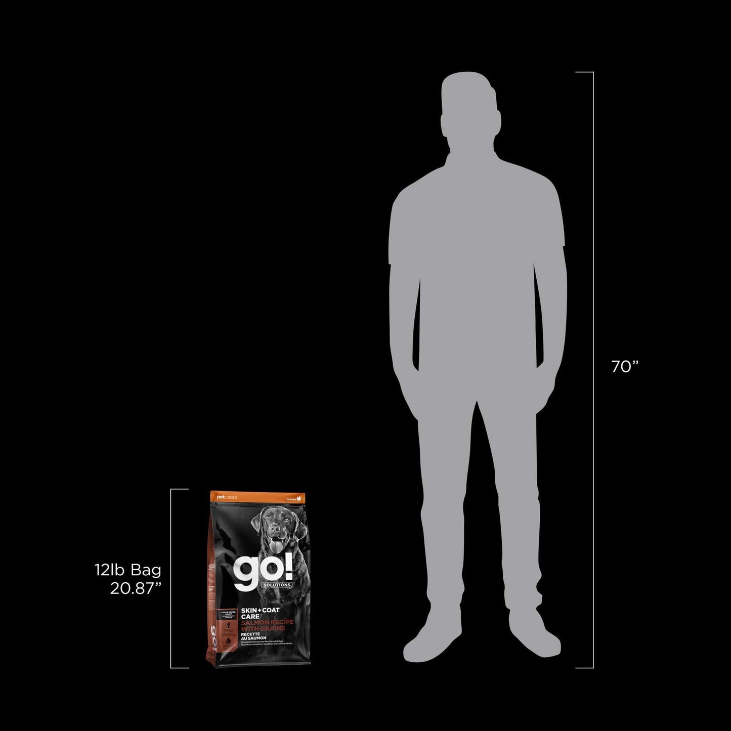 Go! Solutions Skin + Coat Care, Dry Dog Food, Large Breed Adult Salmon Recipe with Grains, 25 lb Bag