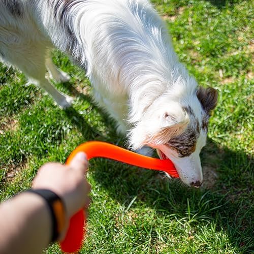 Jersey Dog Co. Perfect Tug Dog Tug of War Dog Toy, Safe Puppy Chew Toys, Made in The USA Rubber-Free Toy 24” Long