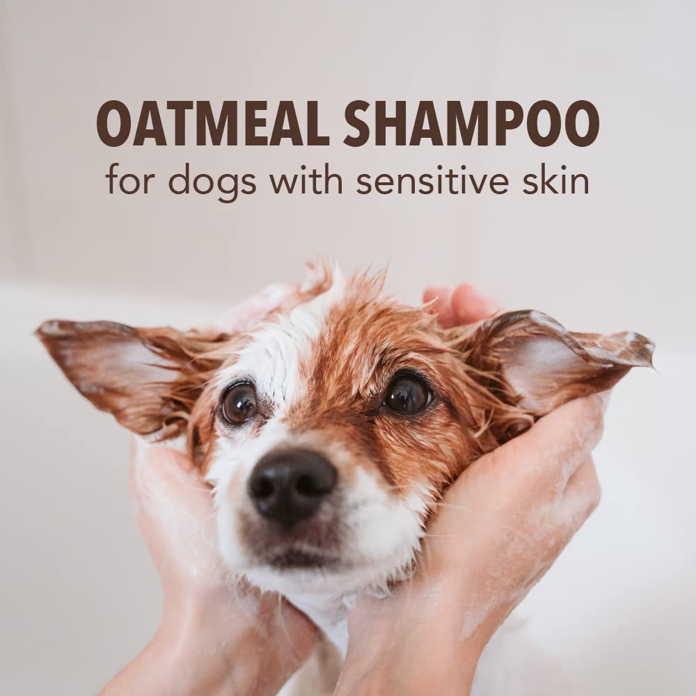 Sergeant’s Fur-So-Fresh Oatmeal Dog Grooming Shampoo for Sensitive Skin, Milk and Honey Scent, Dog Bath Product, 18oz