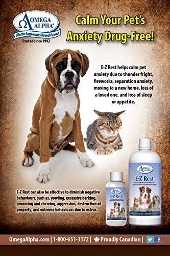 Forza10 Actiwet Dermo Wet Dog Food, Omega 3 Canned Dog Food Sensitive Skin Health, Dry Skin Fur Loss, 3.5 oz, Fish Flavor, Adult Dogs (32 Pack)