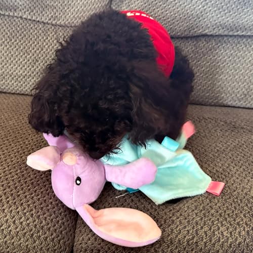 Suilung 3 Pcs Puppy Chew Toys Snuffle Mat Dog Puzzle Toys Dog Treat Balls to Keep Them Busy Pet Interactive Foraging Training Ball for Small Medium Breed Teething Cleaning Intellect Training