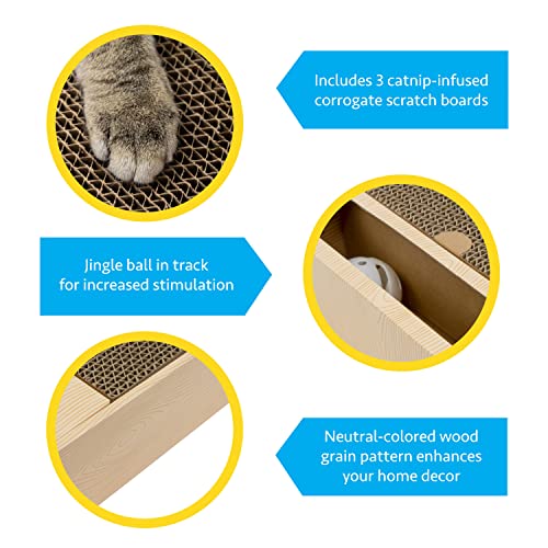 Chew King Premium Treat Dog Toy, Medium, Extremely Durable Natural Rubber Fillable Toy Collection, Frozen Feeding, All Breed Sizes