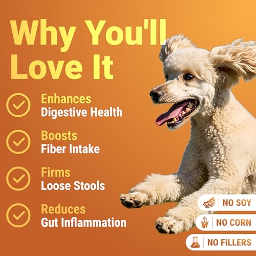 Pumpkin Powder for Dogs with Probiotics - Rich in Fiber, Helps with Digestion, Nutrient Absorption, Diarrhea, Constipation & Upset Stomach - Organic Dog Food Topper - Made in USA