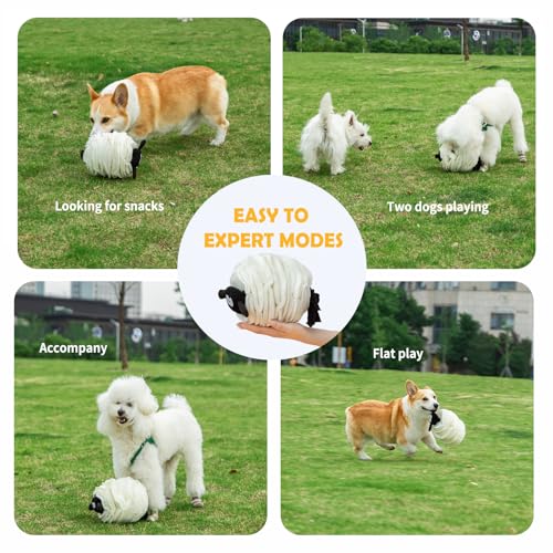 Tierglück Sheep Shape Snuffle Toy for Dogs - Interactive Puzzle Feeder & Treat Dispenser, Slow Feeder Mat for Puppies to Relieve Boredom & Anxiety (Upgraded Squeaky Lamb Ball) (White)