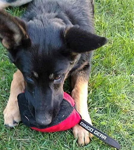 Dingo Gear Dog Tug Ball 4" for Strong Dog, Bite Training, IGP, K9, Fun, Red S02780