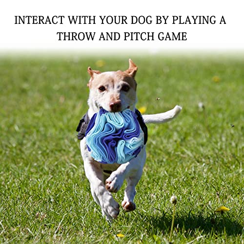 WishLotus Dog Snuffle Ball, Interactive Dogs Toys Ball, Dog Brain Stimulating Puzzle Toys for Dogs, Enrichment Game Feeding Mat Slow Feeder Stress Relief(Blue)