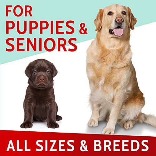 Glucosamine Dog Treats for Picky Eaters - Joint Supplement w/Chondroitin, MSM, Omega-3 - Joint Pain Relief - Advanced Formula - Chicken Flavor - 180 Ct - Made in USA