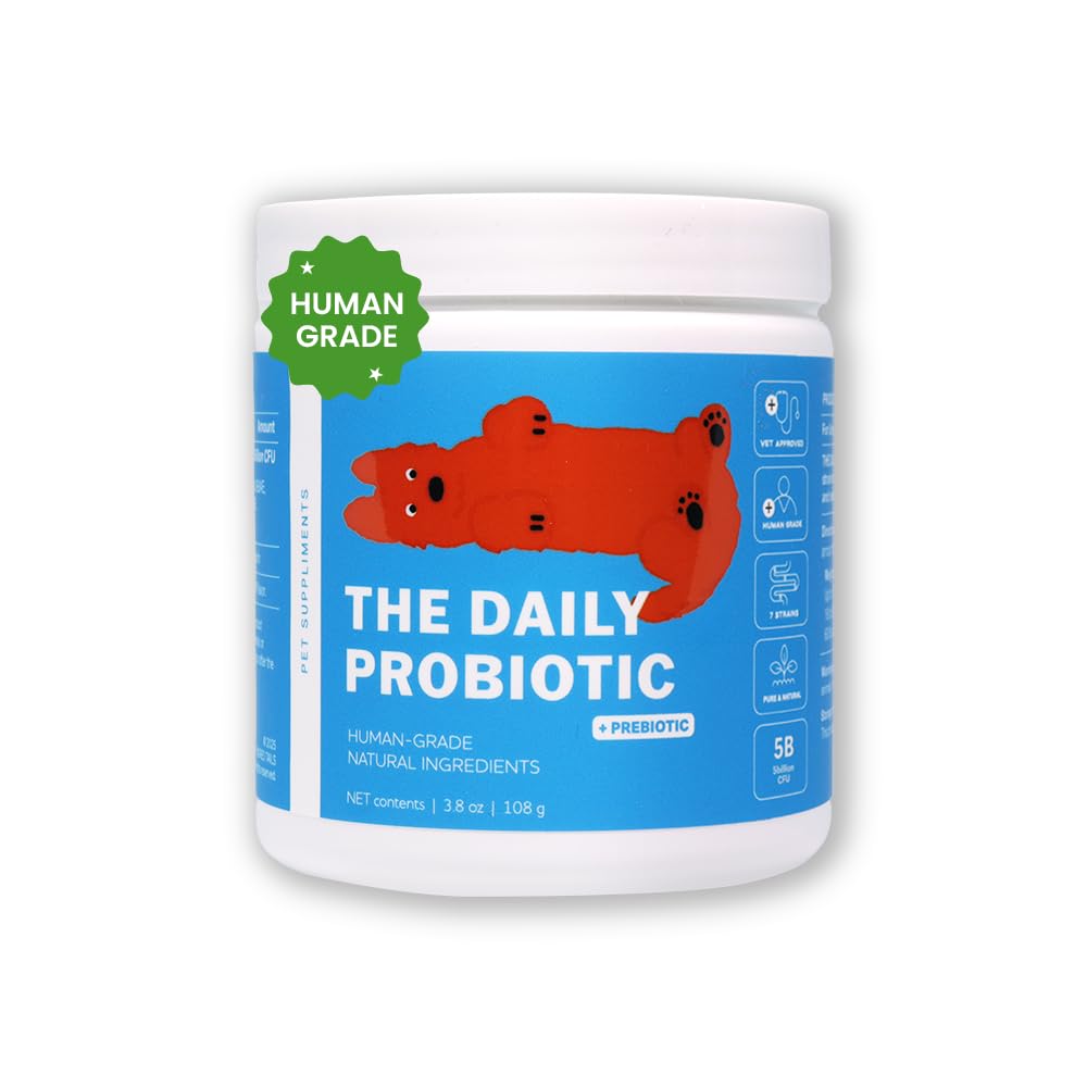 Human Grade Daily Probiotic for Dogs – Vet Approved with 7 Clinically Proven Strains + Prebiotics, Gut & Immune Support with Pumpkin & Carrot – 60 Servings – 5 Billion CFU per Scoop
