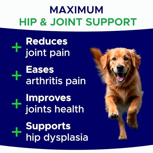 Glucosamine for Dogs Hip & Joint Supplement - Chondroitin, Omega-3, MSM - Joint Health & Pain Relief - Senior & Large Dogs - Made in USA - 120 Mobility Chews