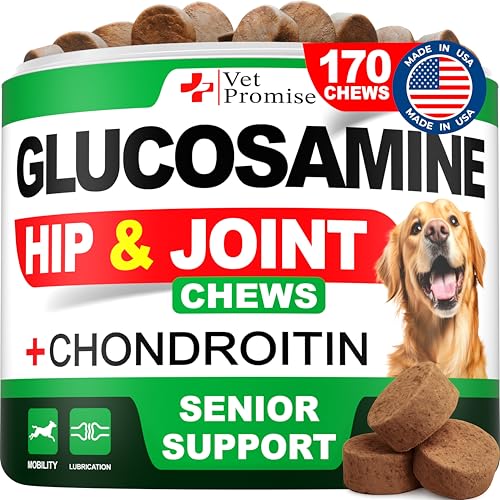 Advanced Glucosamine for Dogs - 170 Chews - Senior Hip and Joint Supplement for Dogs - Glucosamine Chondroitin - Dog Joint Health Pain Relief Pills - MSM - Mobility Support Supplement - Made in USA