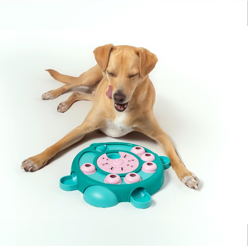 Friends Forever Dog Puzzles Toys with Slower Feeder, Interactive Toy with Food Puzzle for Stimulation and Treat Training Game, Treat Dispenser Toys for Dogs, Tortoise Puzzle