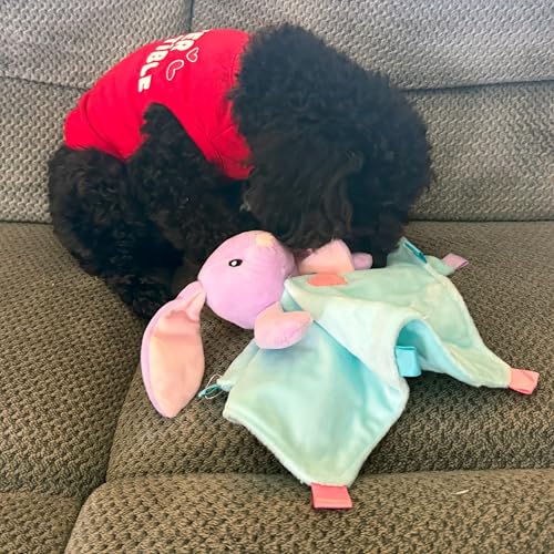 Suilung 3 Pcs Puppy Chew Toys Snuffle Mat Dog Puzzle Toys Dog Treat Balls to Keep Them Busy Pet Interactive Foraging Training Ball for Small Medium Breed Teething Cleaning Intellect Training