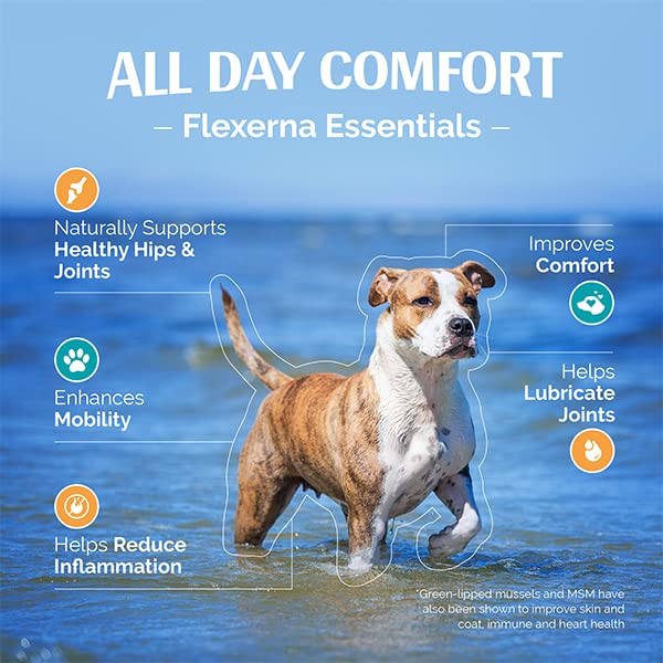 Flexerna Essentials Powder - Joint Supplement for Dogs - New Zealand Green Lipped Mussels for Dogs with MSM - Omega 3 Supplement with Glucosamine Chondroitin - A Whole Food Dog Joint Supplement Powder