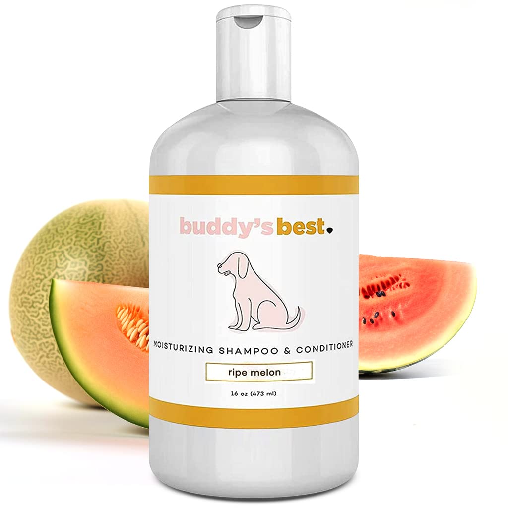 Buddy's Best Dog Shampoo for Smelly Dogs - Dog Shampoo and Conditioner for Dry and Sensitive Skin - Moisturizing Puppy Wash Shampoo, Ripe Melon Scent, 16oz