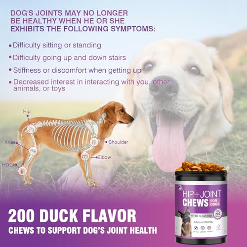 Glucosamine for Dogs 200pcs Joint Support Supplement Dog Hip and Joint Chondroitin Chews Treats with MSM Hemp Dog Joint Pain Relief Mobility Supplements Chicken Flavor Fit All Large Small Medium Breed