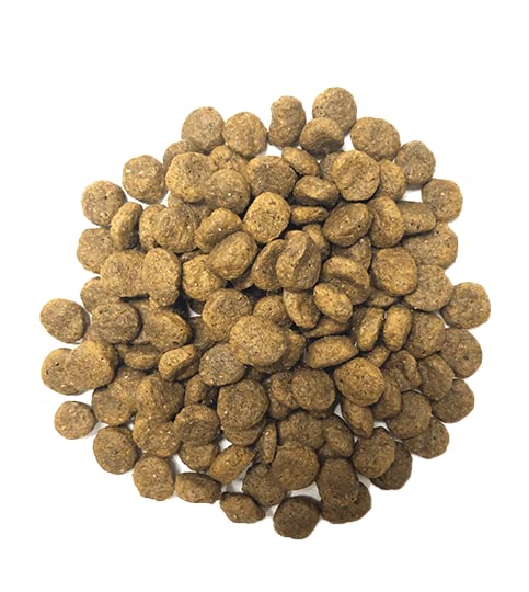 Muenster Perfect Balance Ocean Fish Meal Grain Free Dry Dog Food, 25lb - Gluten-Free, All Life Stages