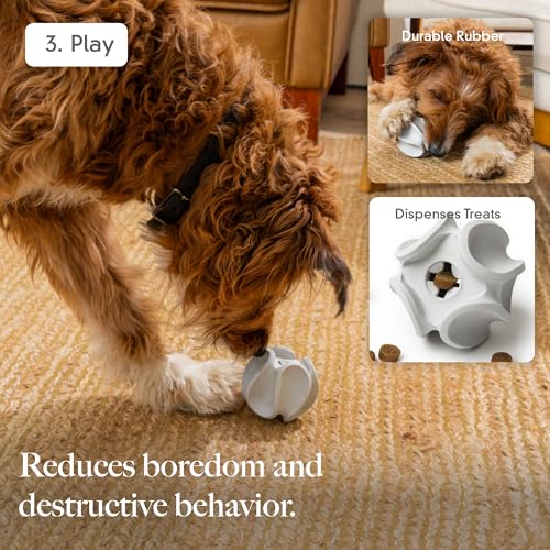 LAY LO Dog Enrichment Starter Pack: Treat Dispensing Toy, Slow Feeder Bowl & Lick Mat, and Snuffle Mat | Dishwasher Safe | Medical Grade Silicone | Non-Toxic | Includes Live Support from Dog Experts