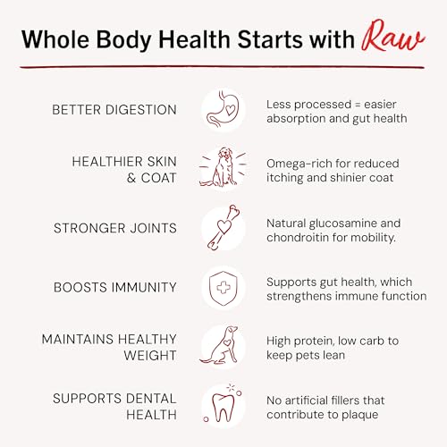 Stella & Chewy's Freeze Dried Raw Dinner Patties – Crafted for Puppies – Grain Free, Protein Rich Perfectly Puppy Beef & Salmon Recipe – 5.5 oz Bag, Pack of 1