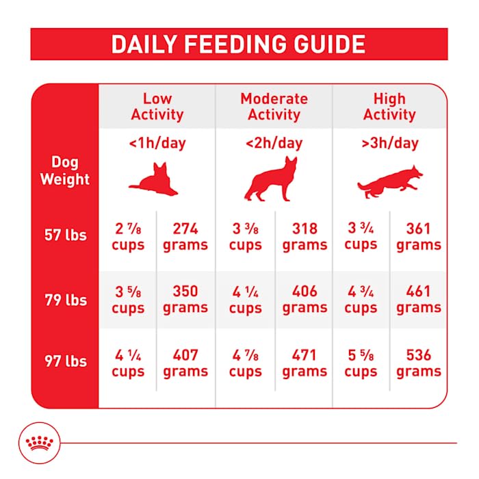 Royal Canin Size Health Nutrition Large Adult Dry Dog Food, 40 lb Bag