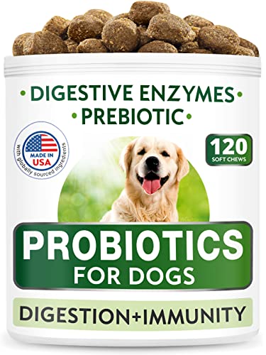 Glucosamine Bacon Flavor + Dog Probiotics Bundle - Joint Pain Relief + Gas, Diarrhea Relief - Chondroitin, MSM, Omega-3 + Digestive Enzymes, Prebiotics - Chewable Fiber - 240 Soft Chews - Made in USA
