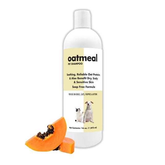 Itch Relief Oatmeal and Aloe Pet Shampoo 16 oz. for Dogs & Cats | Anti-Itch & Deodorizing Formula | Soothe and Moisturize Dry Itchy Sensitive Skin
