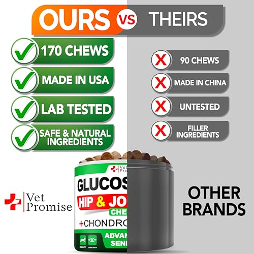 Advanced Glucosamine for Dogs - 170 Chews - Senior Hip and Joint Supplement for Dogs - Glucosamine Chondroitin - Dog Joint Health Pain Relief Pills - MSM - Mobility Support Supplement - Made in USA