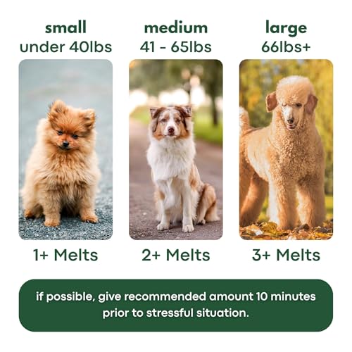 PetPax Co. ZenMelts Dogs Anxiety Relief Calming 5 Strips only - Anti Anxiety for Dogs During Fireworks, Storms & Separation - Non-Drowsy Tasty Dog 5 - Melt