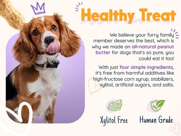 Pumpkin Pup Buddy BUDDER, 100% Natural Dog Peanut Butter, Healthy Peanut Butter Dog Treats, Made in USA, (17oz Jars)