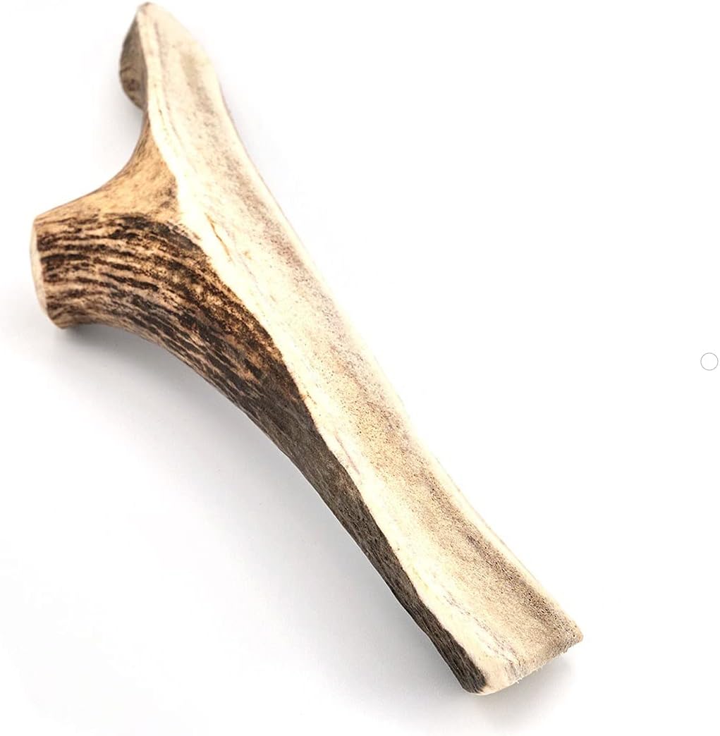 Little Loyals 100% Natural Grade A Premium Split Deer Antlers for Dogs - Long Lasting Dog Chews for Aggressive Chewers - Healthy and Durable Dog Treat for All Breeds - Supports Dental Health (X-Large)