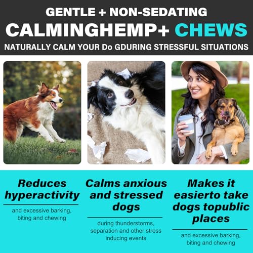 VCTSOF Calming Chews for Dogs 30 Cherws, Dog Calming Treats, Helps with Dog Anxiety, Separation, Barking, Stress Relief, Melatonin for Dogs, Sleep Calming Aid, All Breeds & Sizes (Pekingduck-30Chews)