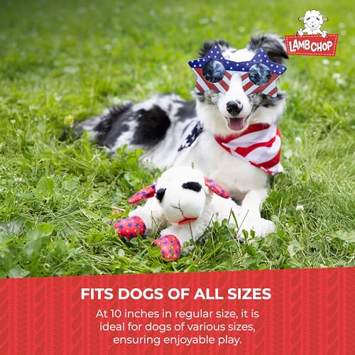 PAWISE Snuffle Ball for Dogs, Sniffle Treat Puzzle Toy, Dog Snuffle Balls, Snuffle Toy, Machine Washable, Foraging Sniffle Treat Ball for Puppies and Boredom Relief (Red Rainbow) (Medium)