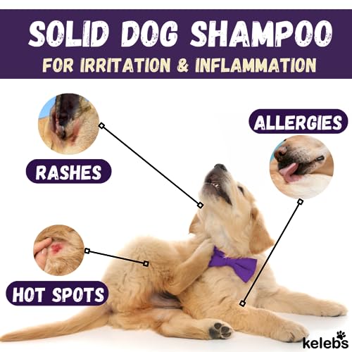 Dogtopia Bright and Shine Shampoo – 12oz Piña Colada Scent | Restoring Shampoo Rich with Soothing Colloidal Oatmeal | Tearless and Alcohol-Free for Everyday Use