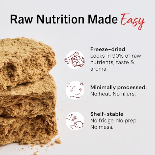 Stella & Chewy's Freeze Dried Raw Dinner Patties – Crafted for Puppies – Grain Free, Protein Rich Perfectly Puppy Beef & Salmon Recipe – 5.5 oz Bag, Pack of 1