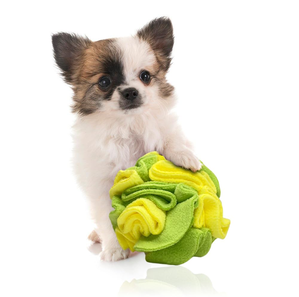 Glory To Dog Puppy and Small Breed Snuffle Interactive Foraging Dog Puzzle Ball Toy Lemon Lime Yellow and Green
