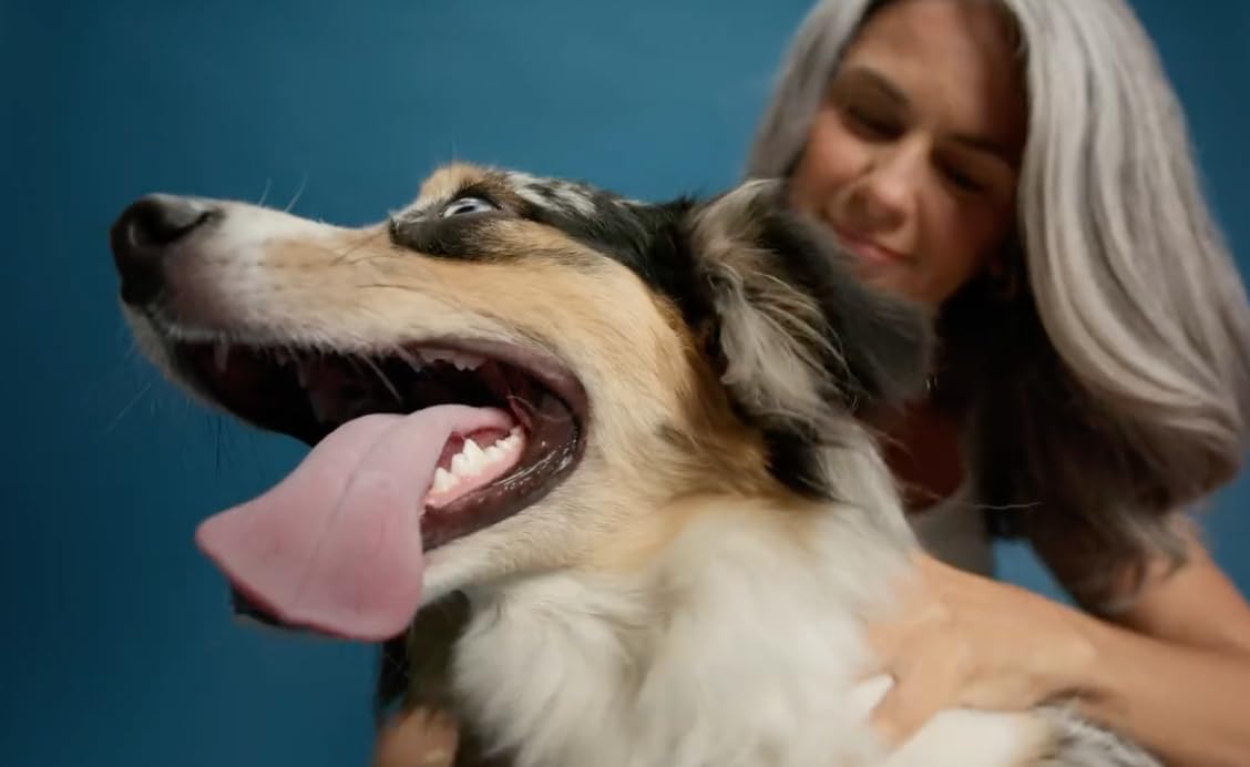 Nom Nom Beef Jerky Treats - All-Natural Dog Snacks for Training, Rewards, and Mealtime Toppers - Non-GMO, No Fillers, Preservatives or Added Ingredients - Prepared in The USA for Dogs